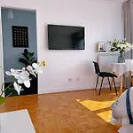 Large Charming Studio In Paris